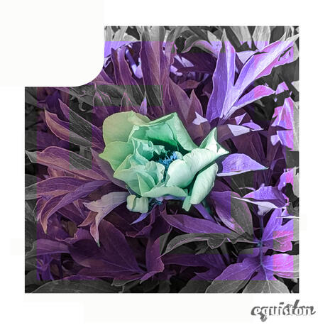 A picture of a teal flower surrounded by purple, digitally distorted leaves on a white background.